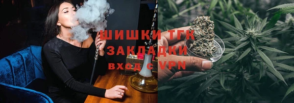 прущий лед Алзамай