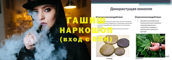 СК Алексин