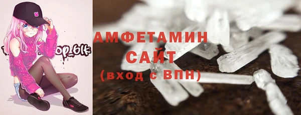 СК Алексин