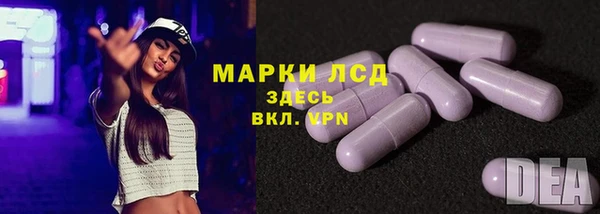 прущий лед Алзамай