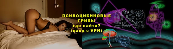прущий лед Алзамай