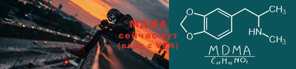 СК Алексин